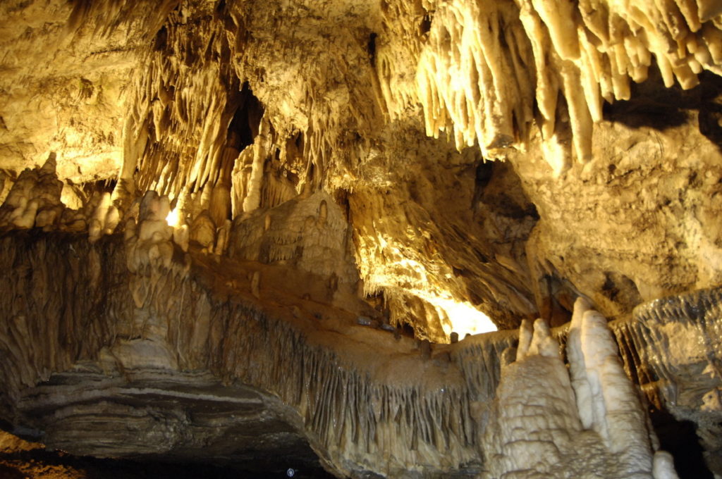 Han-sur-lesse Visite du domaine des grottes de Han et du parc animalier. Entrées comprises  V5184