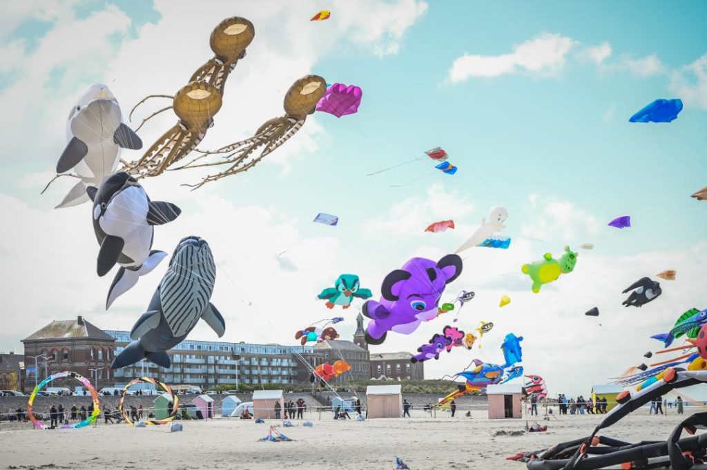 BERCK-SUR-MER  Festival du cerf-volant, Temps libre V5126