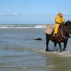 Oostduinkerke Fête de la crevette, temps libre  V5154 – Image 2